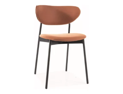 Chair Dan