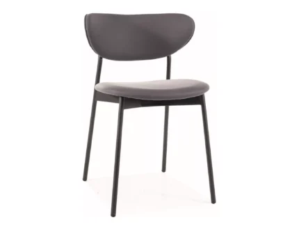 Chair Dan