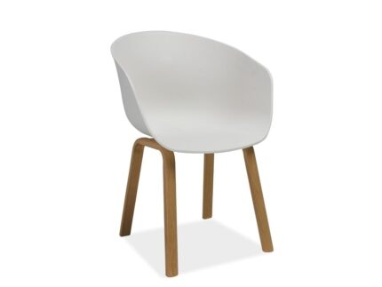Chair Ego